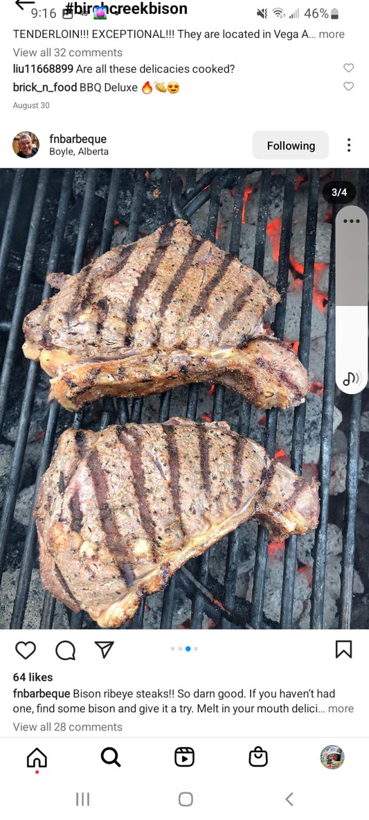 Bison striploin steak